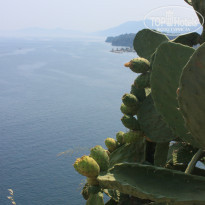 фото из отзыва ID 797538