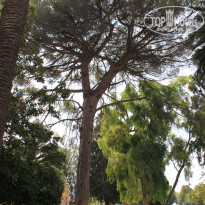 фото из отзыва ID 797538