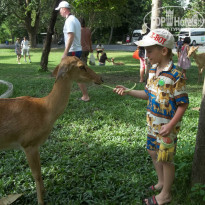 фото из отзыва ID 797776