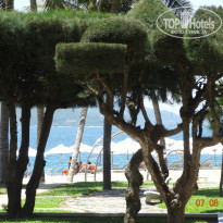 фото из отзыва ID 797808