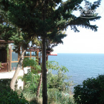 фото из отзыва ID 797873