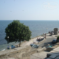 фото из отзыва ID 797873