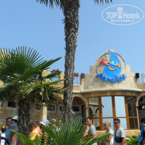 фото из отзыва ID 797873