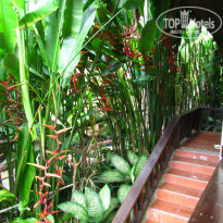фото из отзыва ID 797881