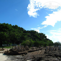 фото из отзыва ID 797881
