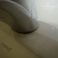 фото из отзыва ID 797678