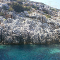 фото из отзыва ID 797229