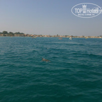 фото из отзыва ID 797229