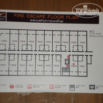 фото из отзыва ID 798887