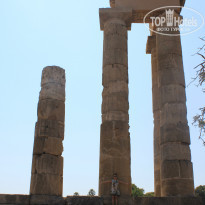 фото из отзыва ID 798103