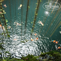 фото из отзыва ID 798441