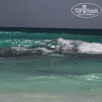 фото из отзыва ID 798441