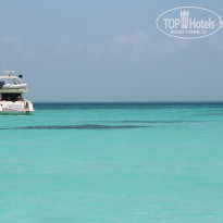 фото из отзыва ID 798441