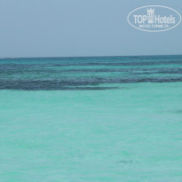 фото из отзыва ID 798441