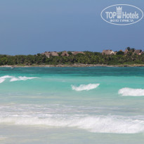 фото из отзыва ID 798441