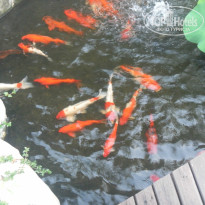 фото из отзыва ID 798502