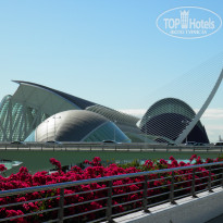фото из отзыва ID 798575
