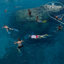 фото из отзыва ID 798719