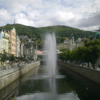 фото из отзыва ID 798750