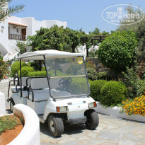 фото из отзыва ID 798881