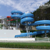 фото из отзыва ID 798811