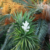 фото из отзыва ID 798567