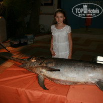 фото из отзыва ID 798567