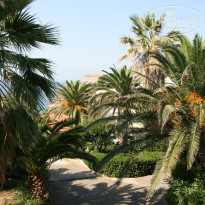 фото из отзыва ID 798567