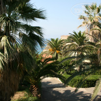 фото из отзыва ID 798567