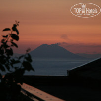 фото из отзыва ID 798567