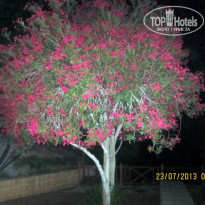 фото из отзыва ID 798199