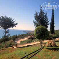 фото из отзыва ID 798199