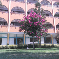 фото из отзыва ID 799280