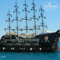 фото из отзыва ID 799345