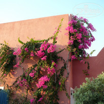 фото из отзыва ID 799384