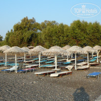 фото из отзыва ID 799384