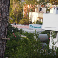 фото из отзыва ID 799396