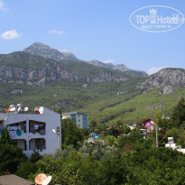 фото из отзыва ID 799396