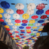 фото из отзыва ID 799401