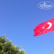 фото из отзыва ID 799401