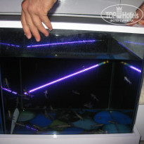 фото из отзыва ID 799441