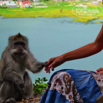 фото из отзыва ID 799704