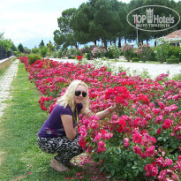 фото из отзыва ID 799711