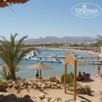 фото из отзыва ID 799791