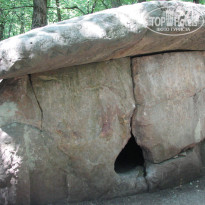 фото из отзыва ID 799824