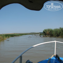 фото из отзыва ID 799824