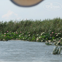 фото из отзыва ID 799824