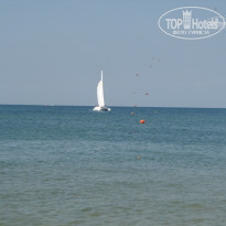 фото из отзыва ID 799824