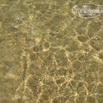 фото из отзыва ID 799824