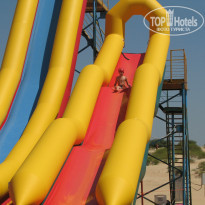 фото из отзыва ID 799824